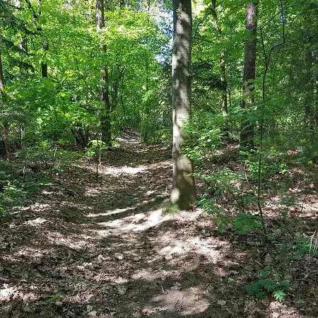 Апартаменты Knusse 5 Persoons Hartje Veluwe Оттерло