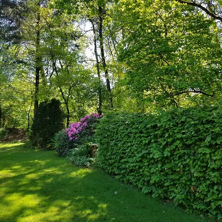 Knusse 5 Persoons Hartje Veluwe *