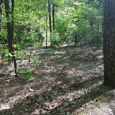 Apartmán Knusse 5 Persoons Hartje Veluwe