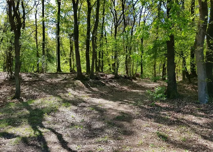 Lägenhet Knusse 5 Persoons Hartje Veluwe