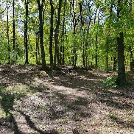 公寓 Knusse 5 Persoons Hartje Veluwe