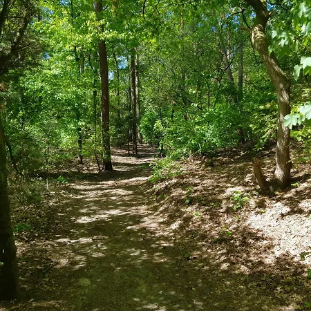 Knusse 5 Persoons Hartje Veluwe 公寓 欧特罗