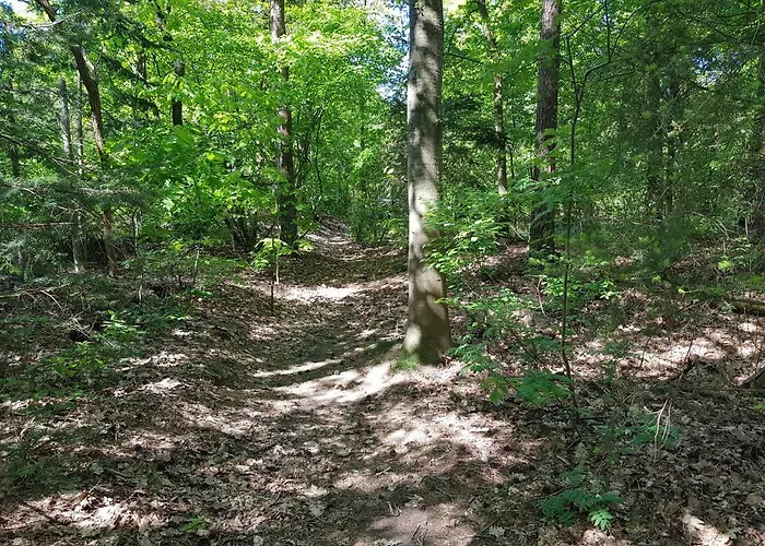 Διαμέρισμα Knusse 5 Persoons Hartje Veluwe Otterlo