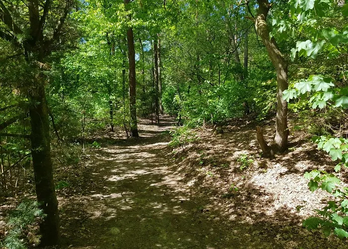 Knusse 5 Persoons Hartje Veluwe Διαμέρισμα Otterlo