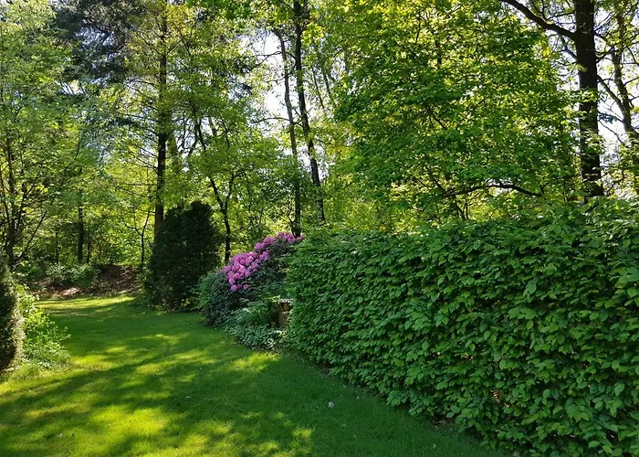 Knusse 5 Persoons Hartje Veluwe *