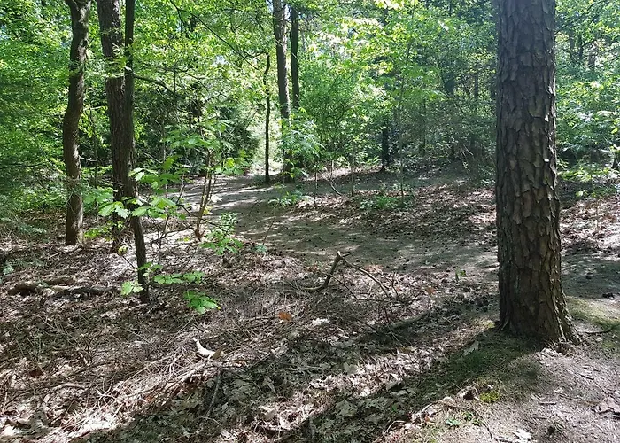 Διαμέρισμα Knusse 5 Persoons Hartje Veluwe