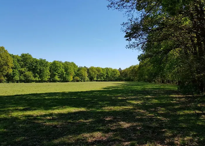 Knusse 5 Persoons Hartje Veluwe Διαμέρισμα Otterlo