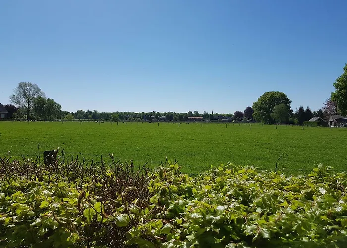 Knusse 5 Persoons Hartje Veluwe Διαμέρισμα